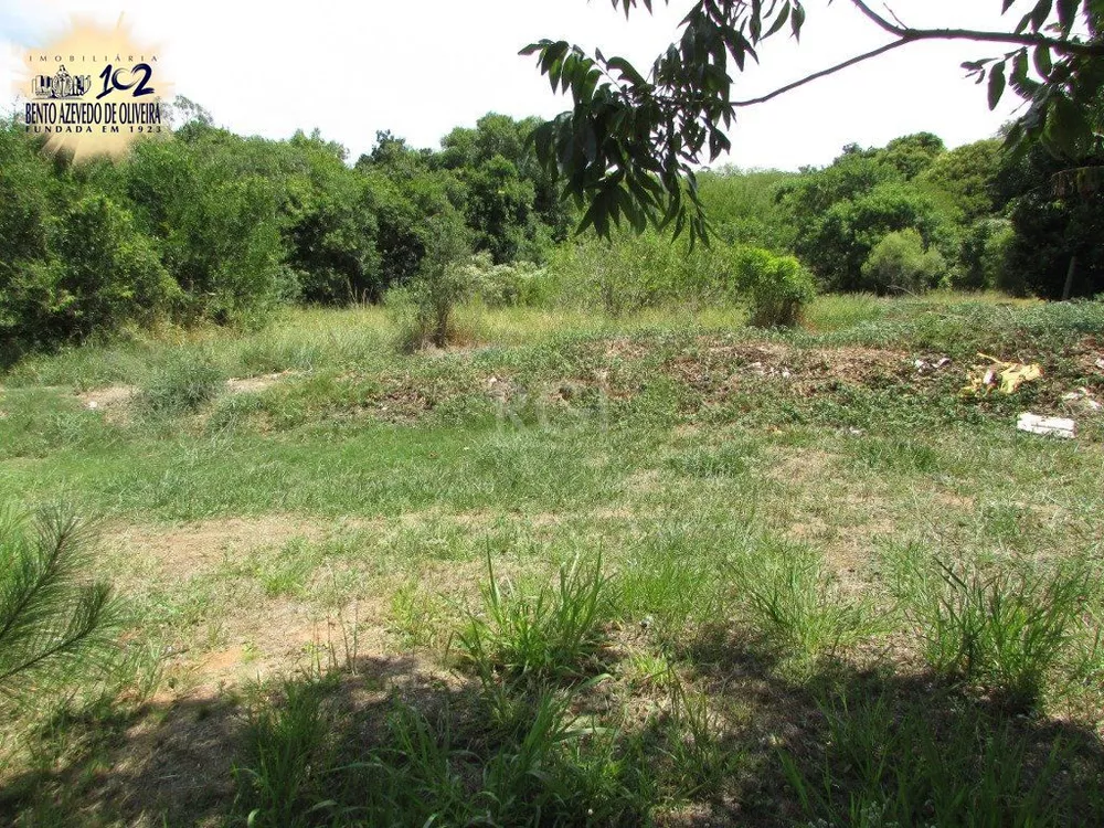 Chácara, 2 quartos, 6299 m² - Foto 1