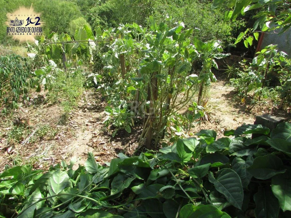 Chácara, 2 quartos, 6299 m² - Foto 6