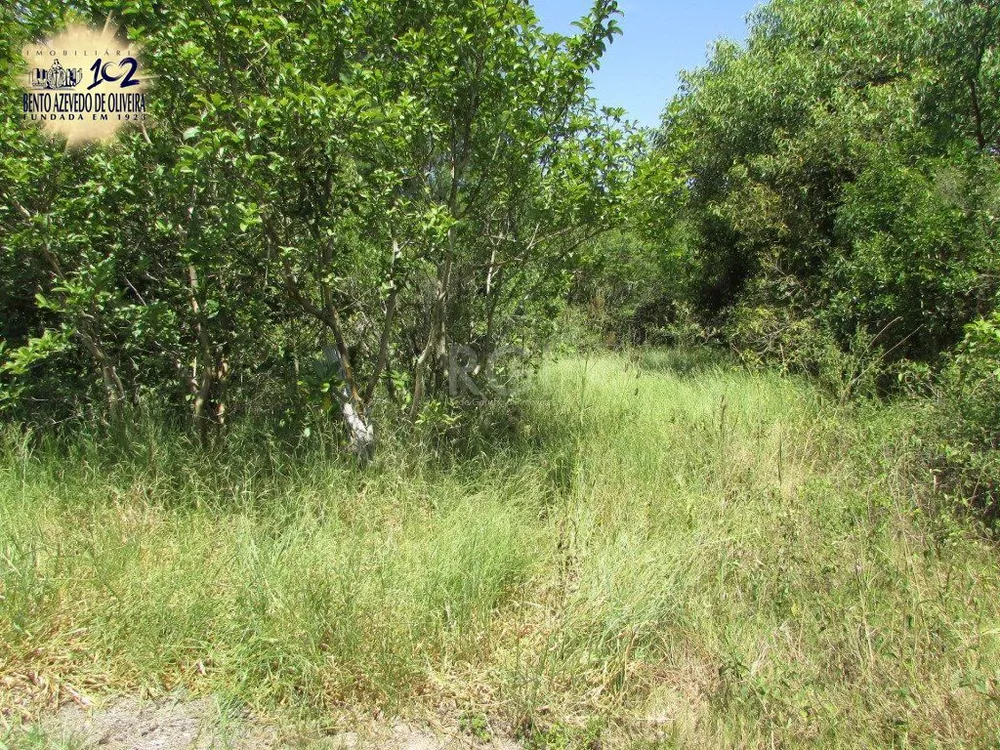 Chácara, 2 quartos, 6299 m² - Foto 4