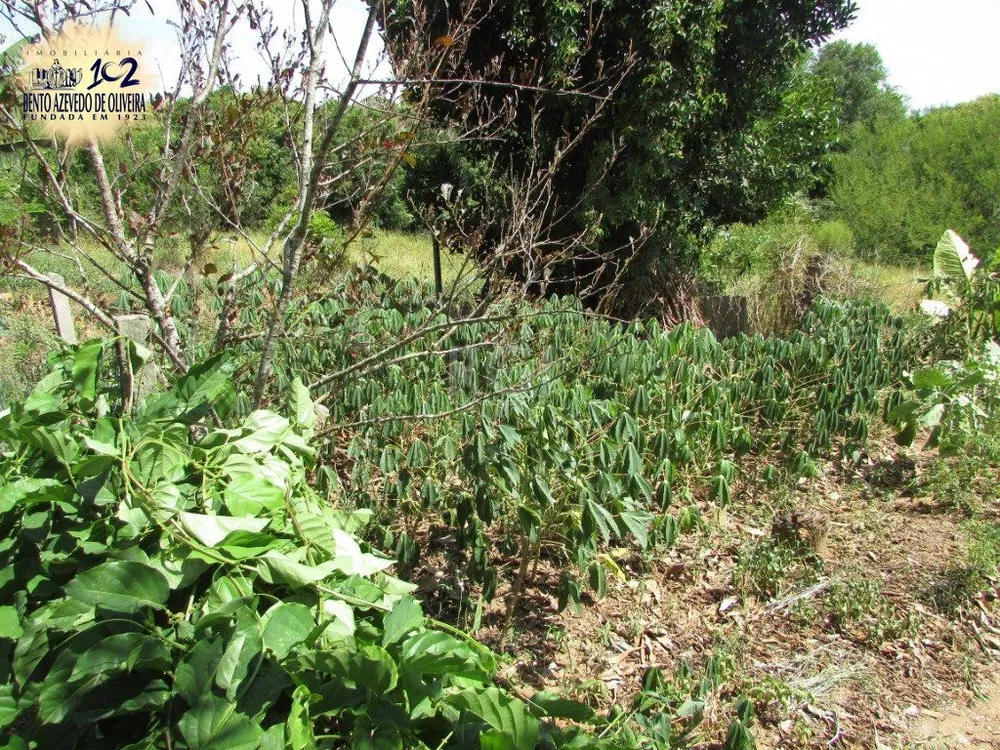 Chácara, 2 quartos, 6299 m² - Foto 7