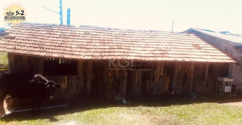 Terreno, 32 hectares - Foto 5