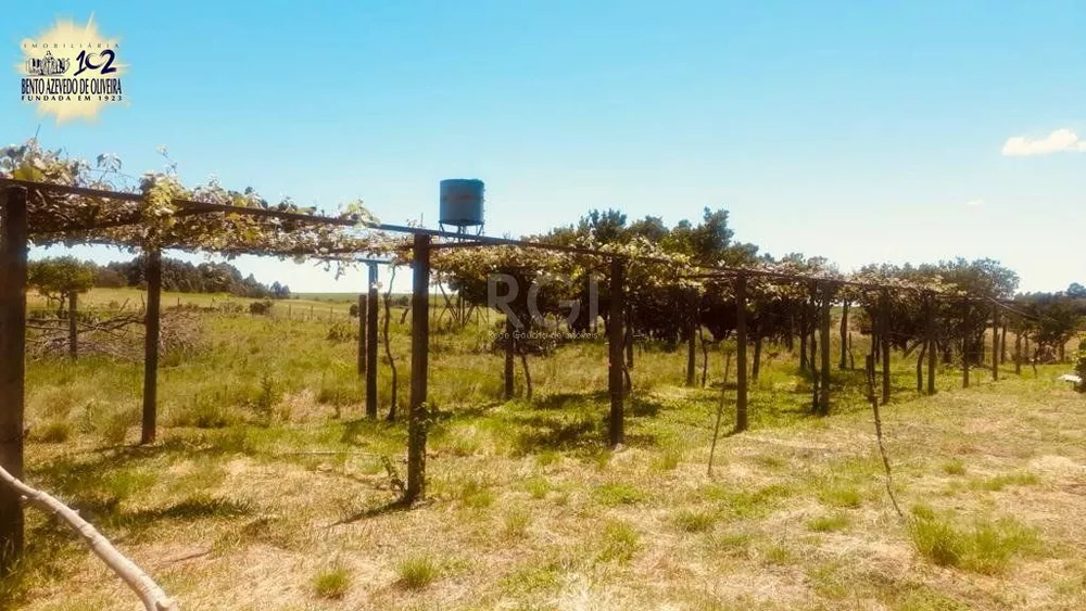 Terreno, 32 hectares - Foto 6