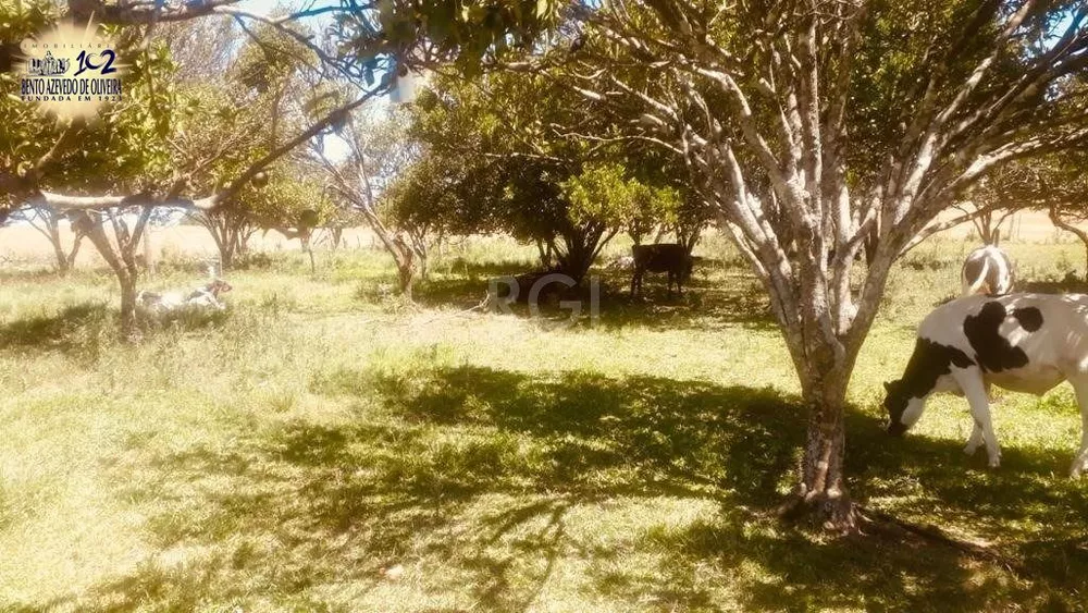 Terreno, 32 hectares - Foto 1