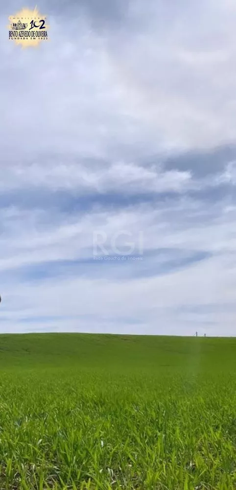 Terreno, 32 hectares - Foto 7