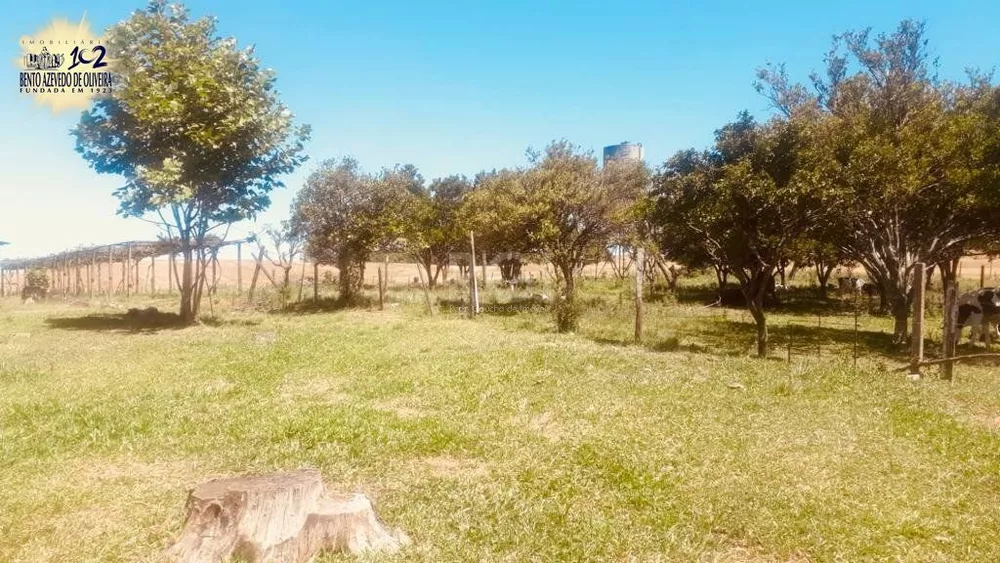 Terreno, 32 hectares - Foto 4