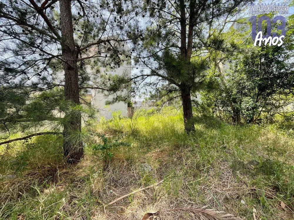 Terreno, 233 m² - Foto 5