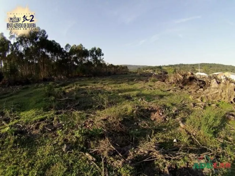 Terreno, 1000 m² - Foto 4