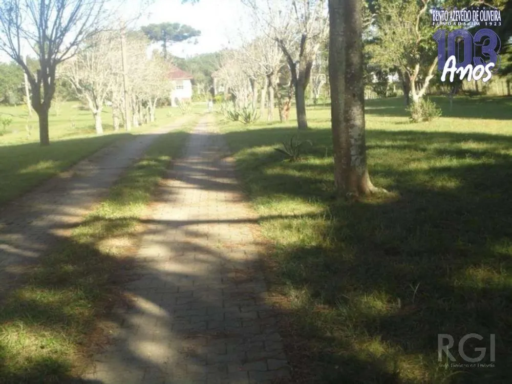 Sítio, 3 quartos, 4 hectares - Foto 2