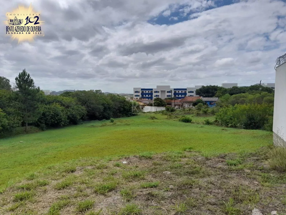 Terreno, 290 m² - Foto 6