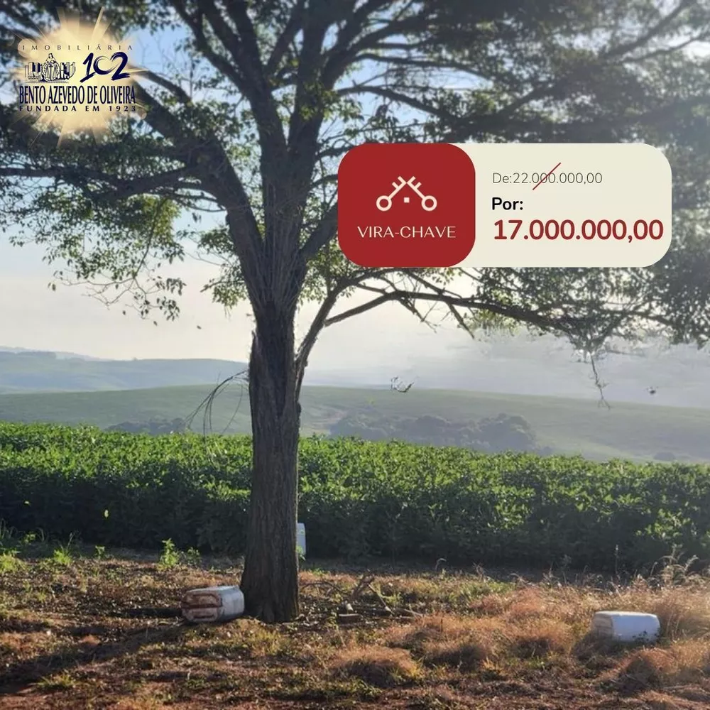 Fazenda, 240 hectares - Foto 6