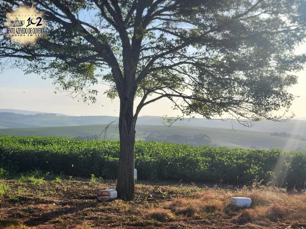 Fazenda, 240 hectares - Foto 2
