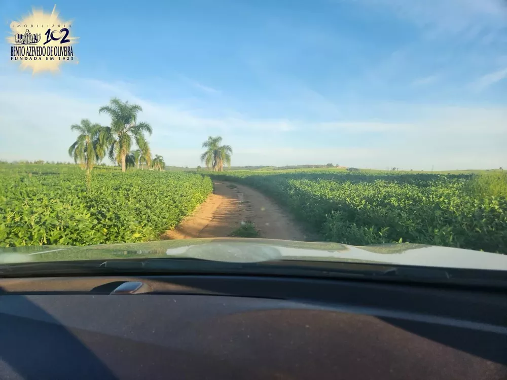 Fazenda, 240 hectares - Foto 7