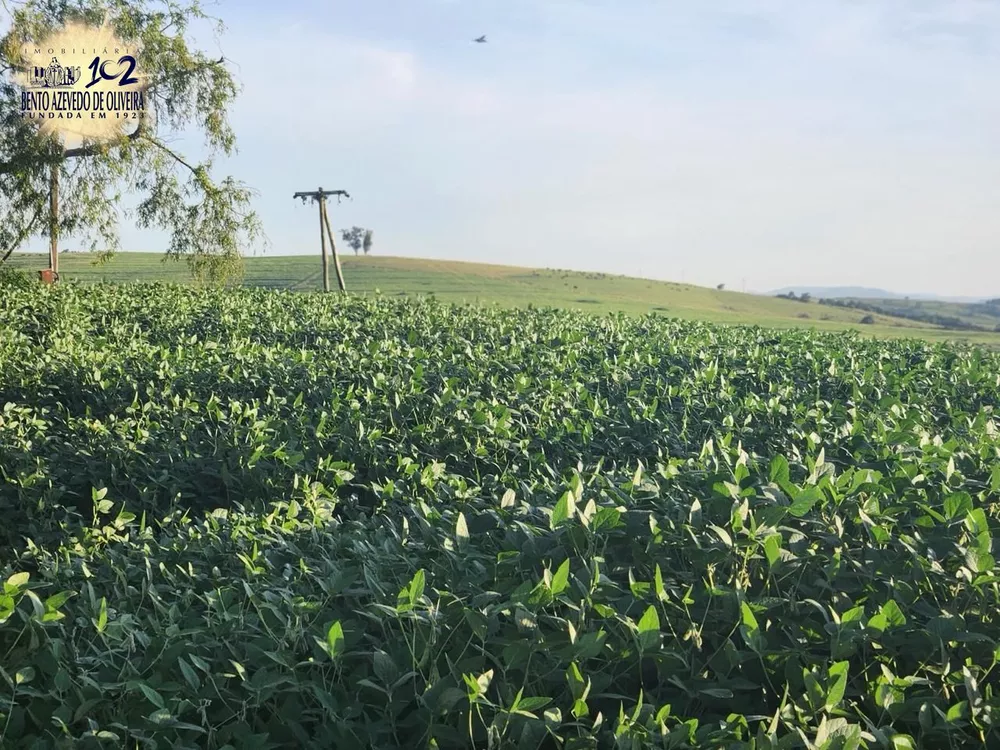 Fazenda, 240 hectares - Foto 5