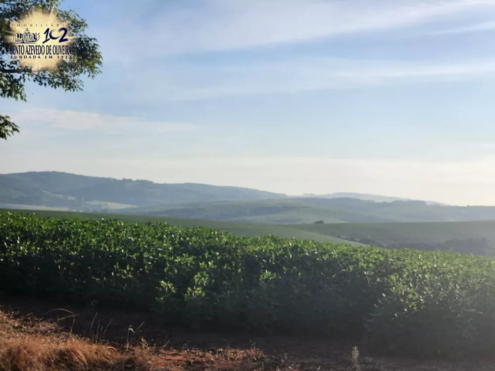 Fazenda, 240 hectares - Foto 8