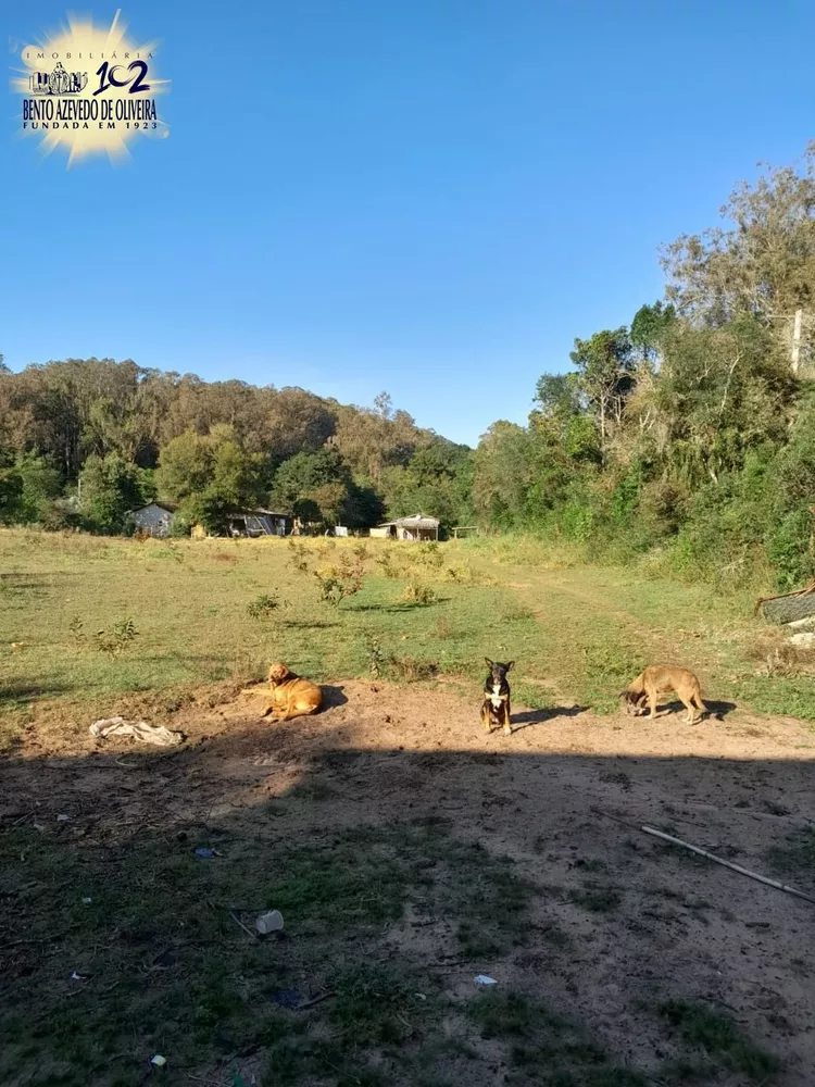 Sítio, 1 quarto, 2 hectares - Foto 3