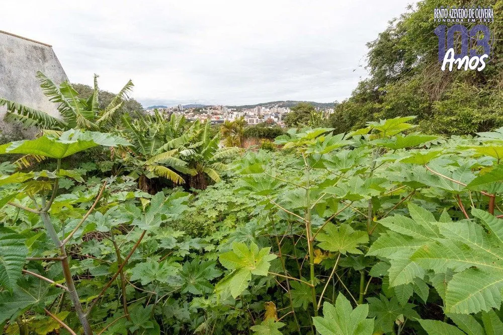 Terreno, 590 m² - Foto 6