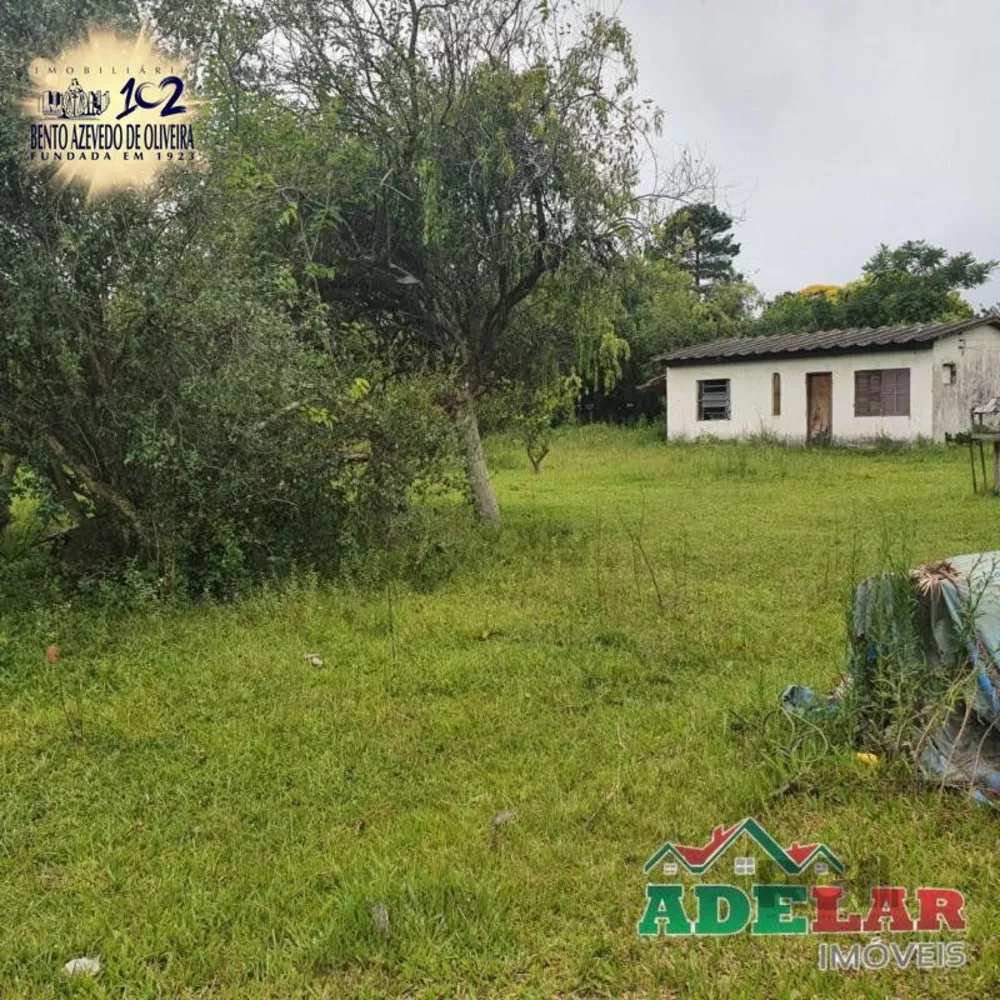 Terreno, 3712 m² - Foto 6