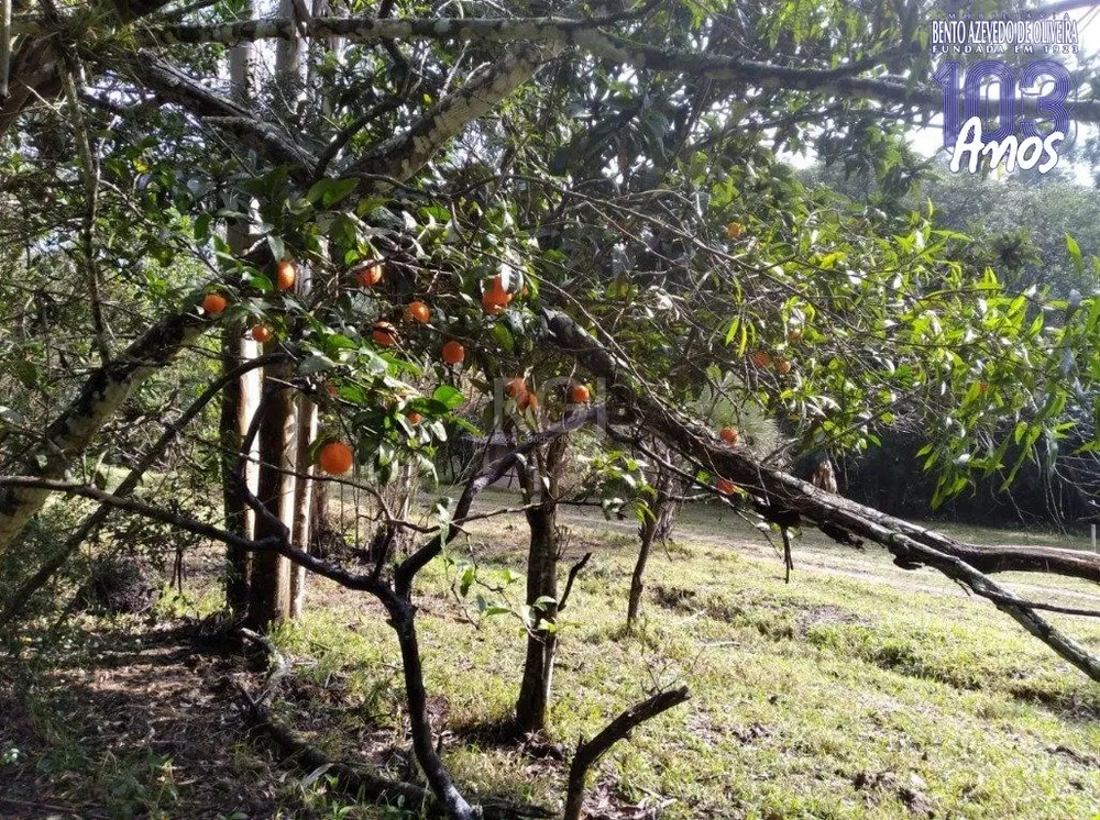 Terreno, 2500 m² - Foto 4