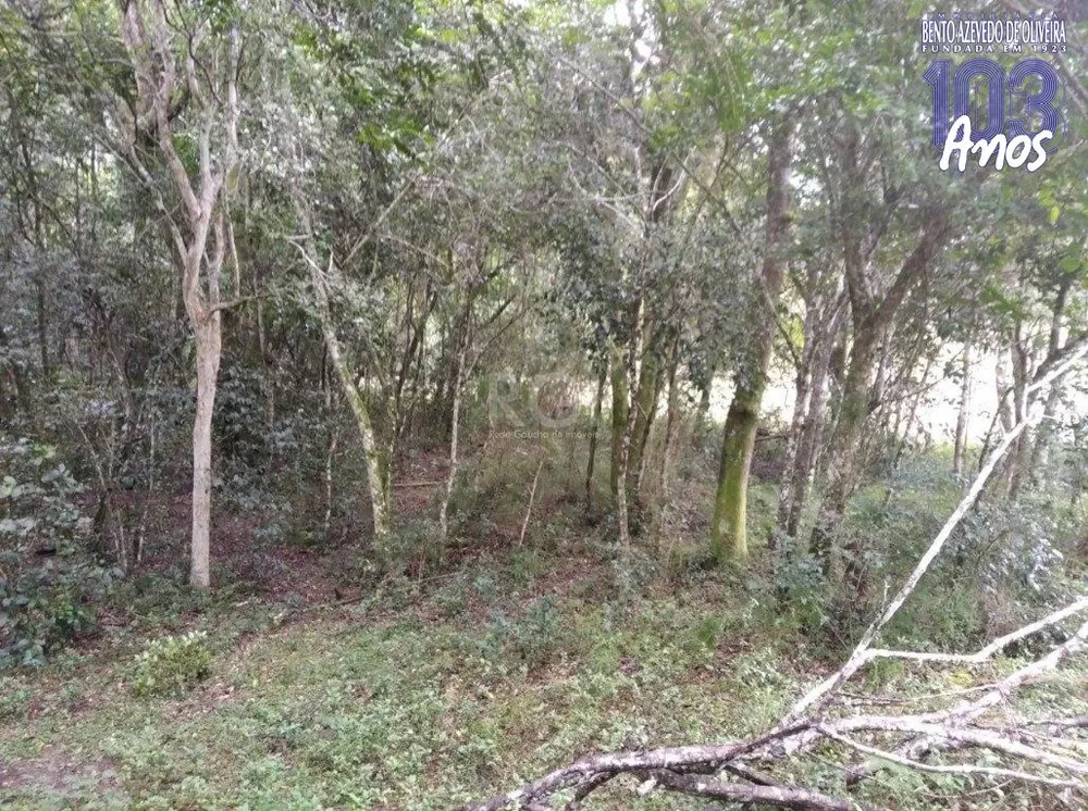 Terreno, 2500 m² - Foto 5