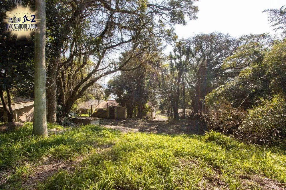 Casa, 3 quartos, 350 m² - Foto 6
