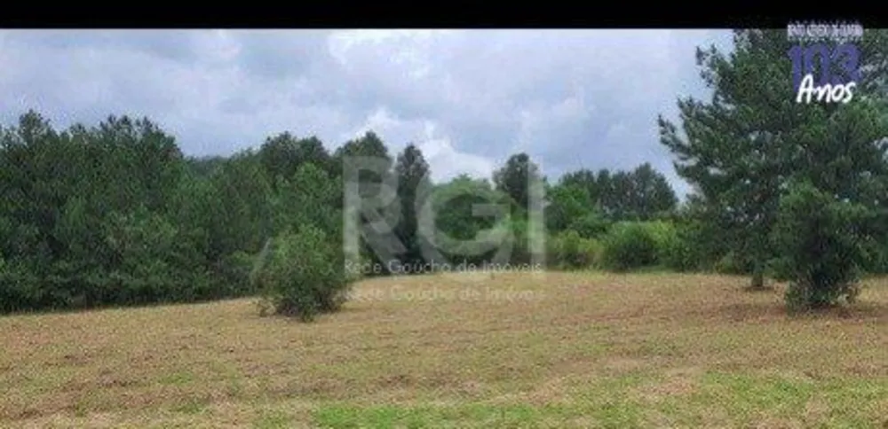Terreno, 2500 m² - Foto 1