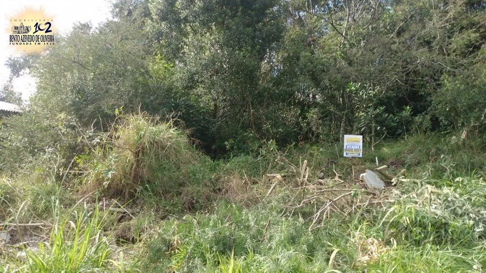 Terreno, 300 m² - Foto 6