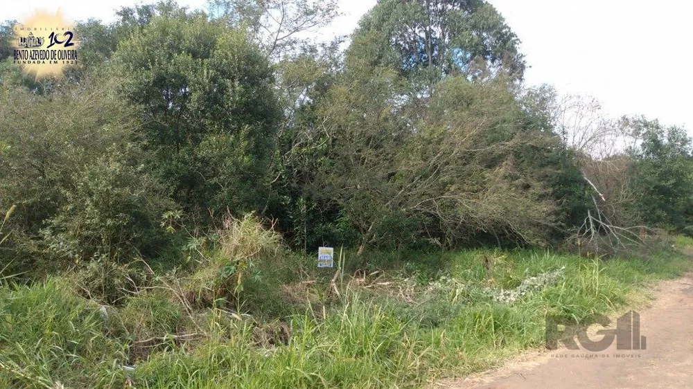Terreno, 300 m² - Foto 1