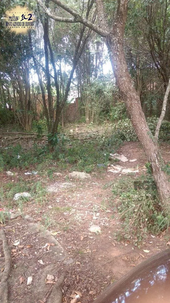 Terreno, 300 m² - Foto 4