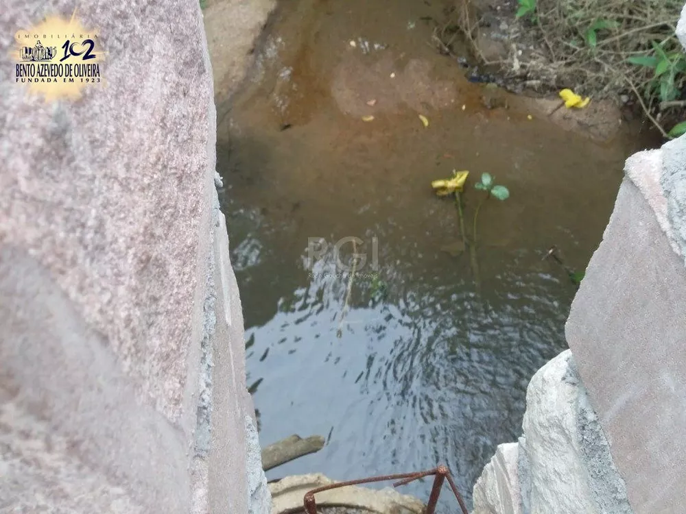 Terreno, 4 hectares - Foto 3