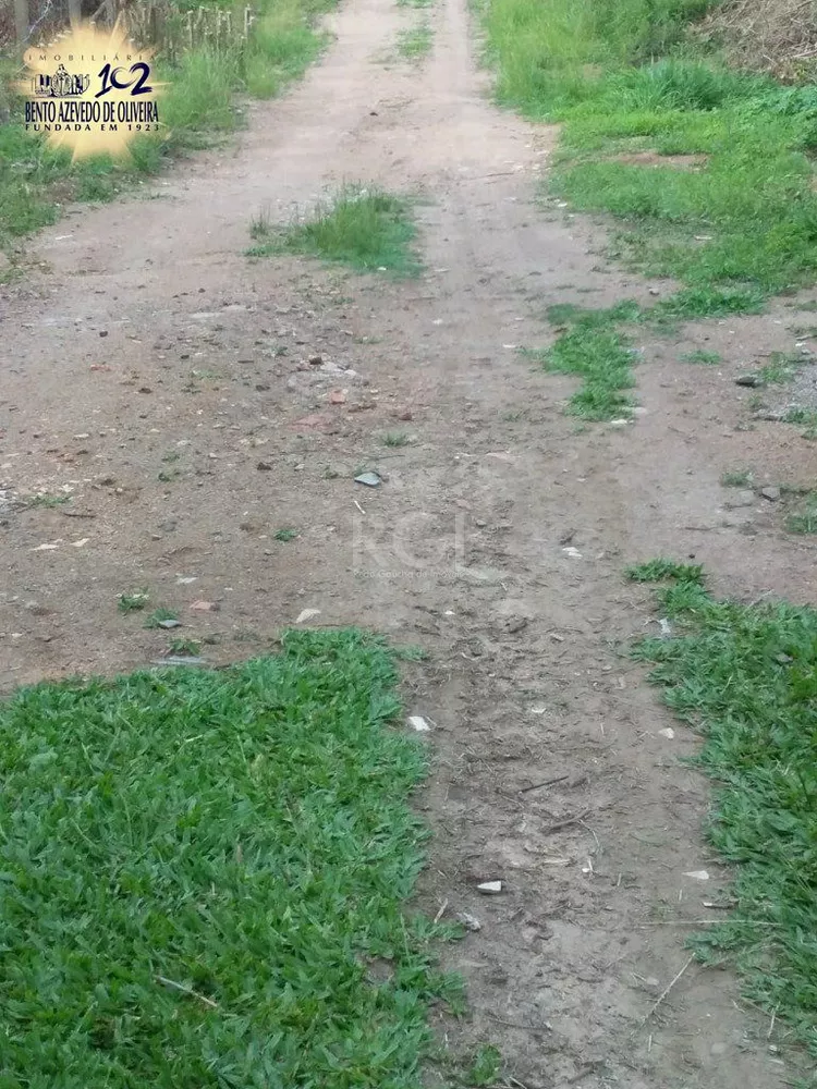 Terreno, 4 hectares - Foto 5