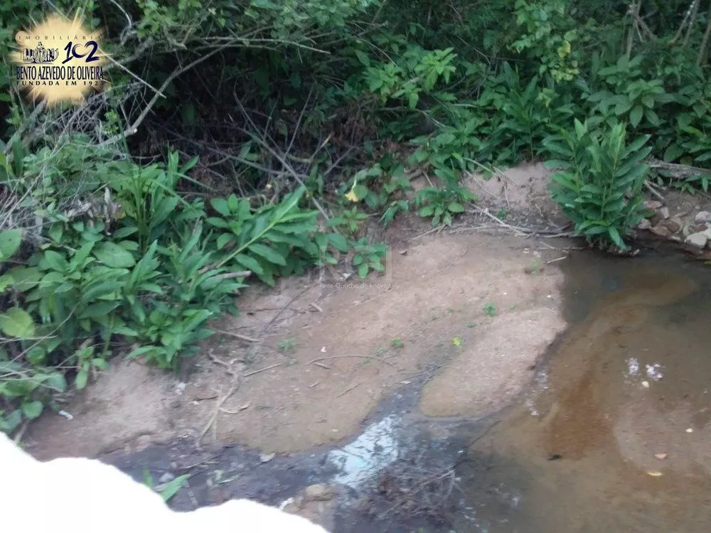 Terreno, 4 hectares - Foto 4