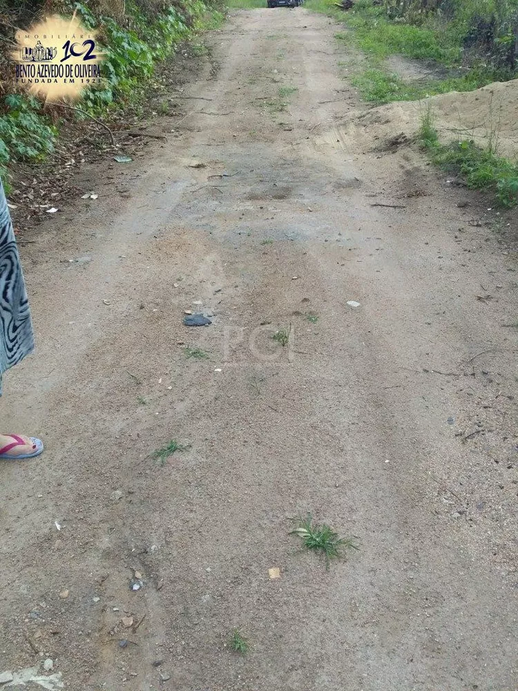 Terreno, 4 hectares - Foto 2