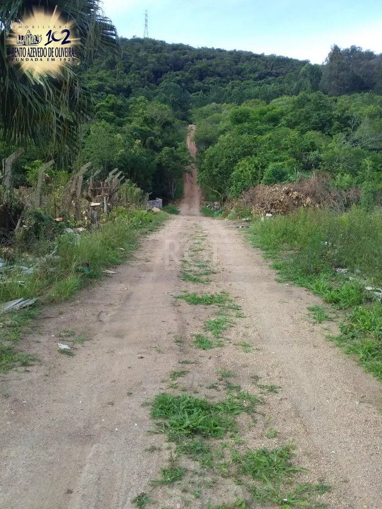 Terreno, 4 hectares - Foto 6