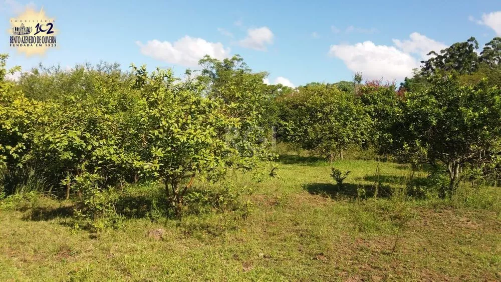 Terreno, 4 hectares - Foto 5