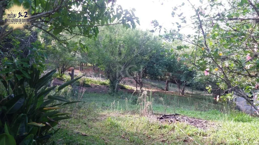 Terreno, 4 hectares - Foto 2