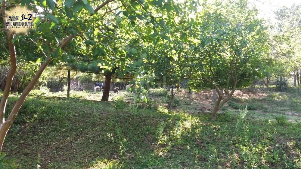 Terreno, 4 hectares - Foto 4