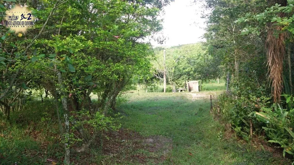 Terreno, 4 hectares - Foto 3