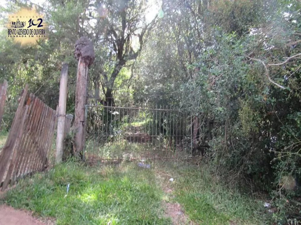 Sítio, 5 hectares - Foto 1