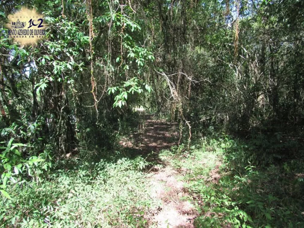 Sítio, 5 hectares - Foto 2