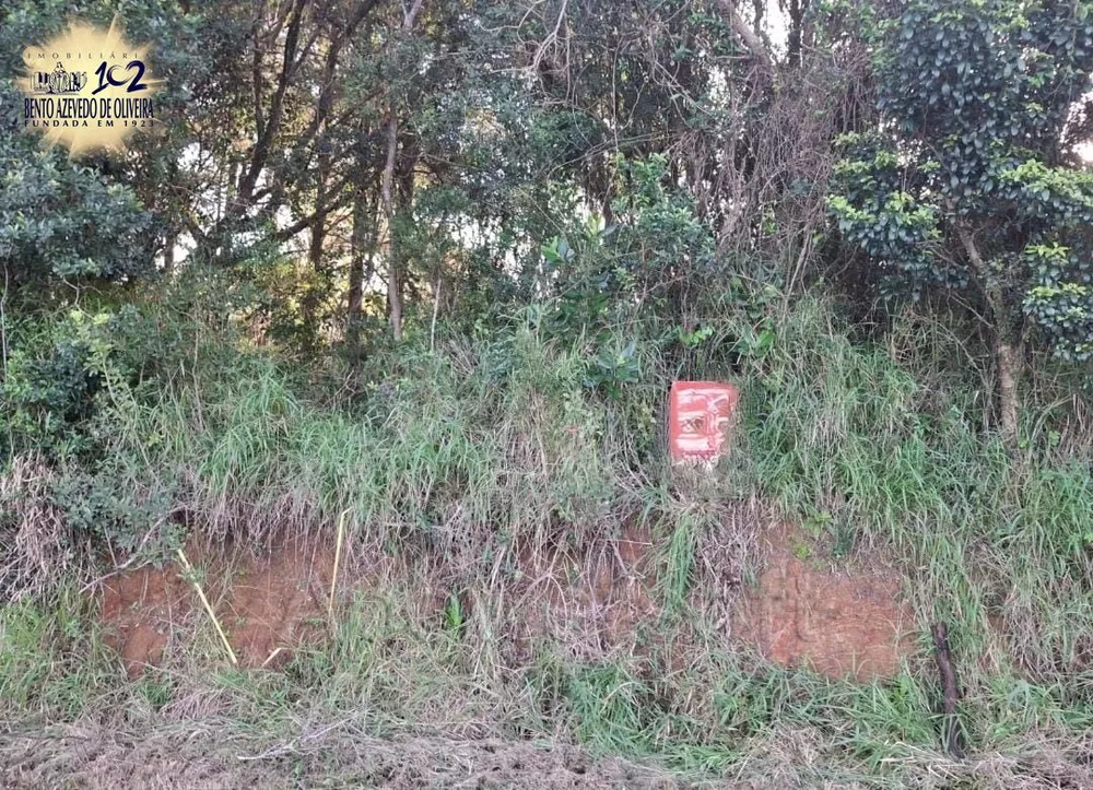 Terreno, 1 hectares - Foto 3