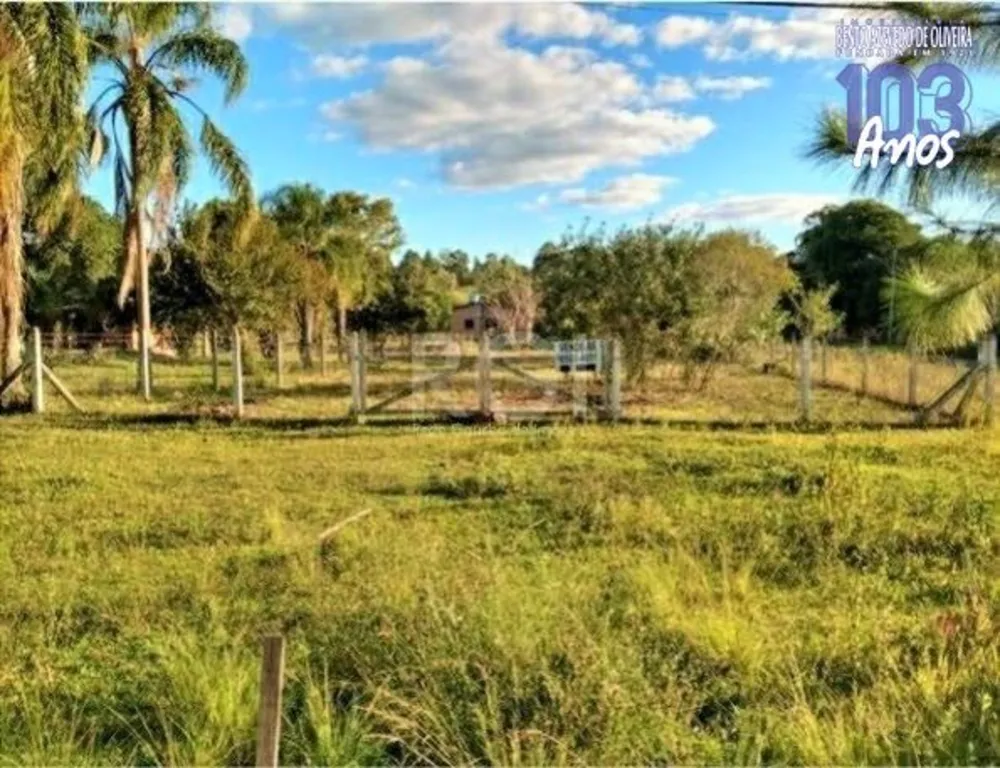 Casa, 4 quartos, 480 m² - Foto 1