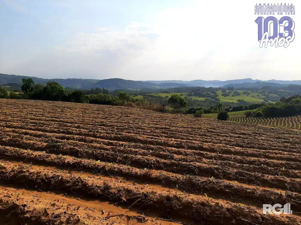 Terreno, 12 hectares - Foto 1