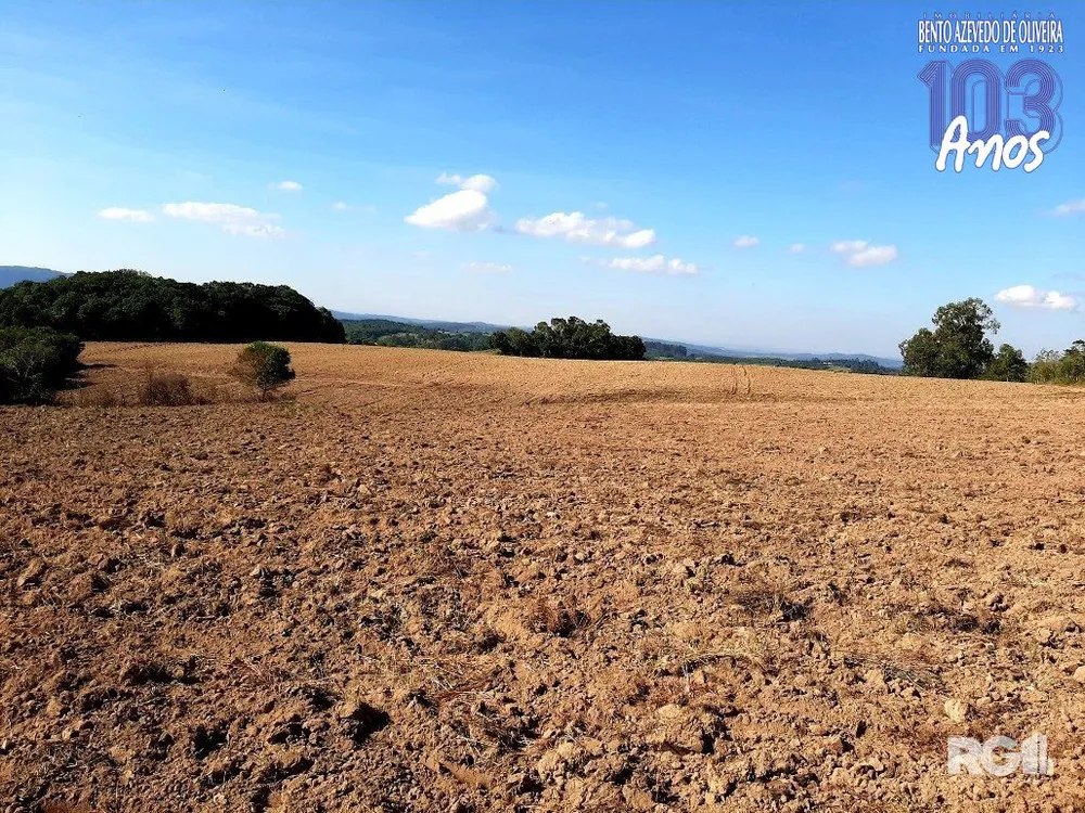 Terreno, 12 hectares - Foto 7