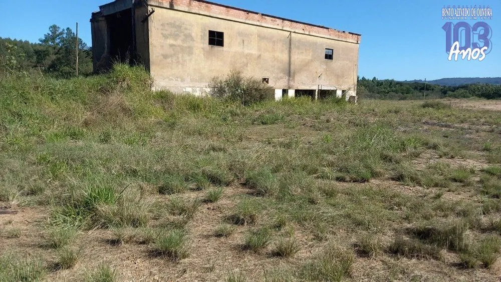 Terreno, 2 hectares - Foto 14