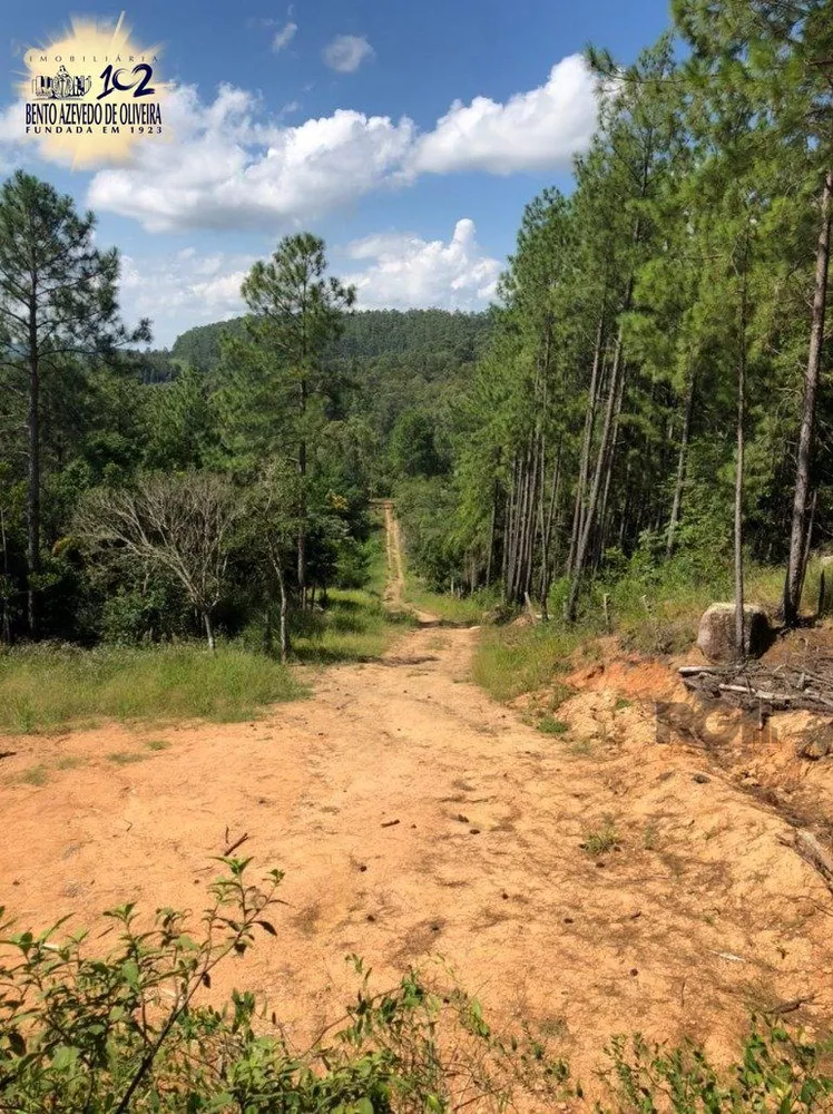 Terreno, 3400 m² - Foto 2