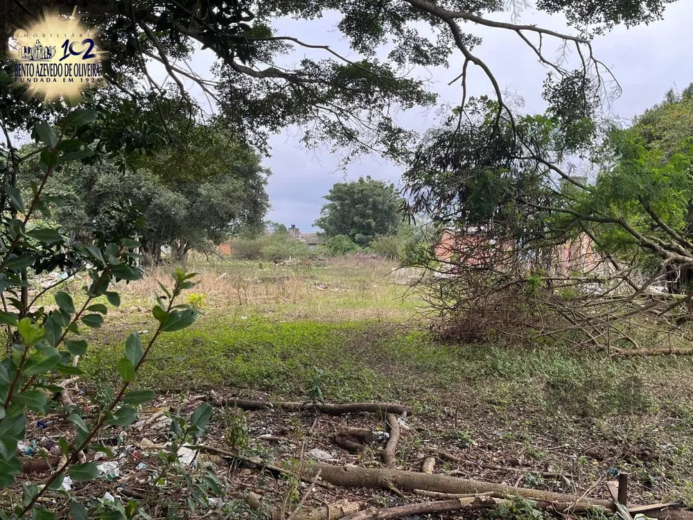 Terreno, 3000 m² - Foto 1