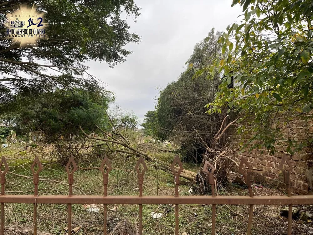 Terreno, 3000 m² - Foto 4