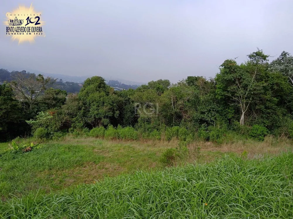 Terreno, 4950 m² - Foto 3