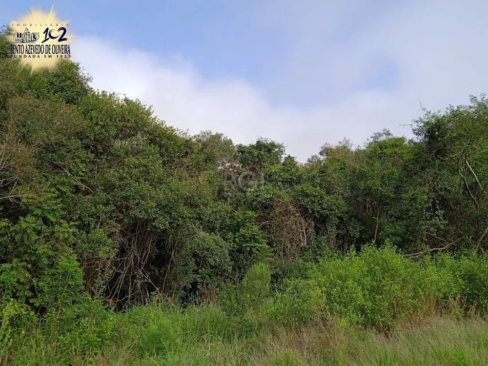 Terreno, 4950 m² - Foto 8