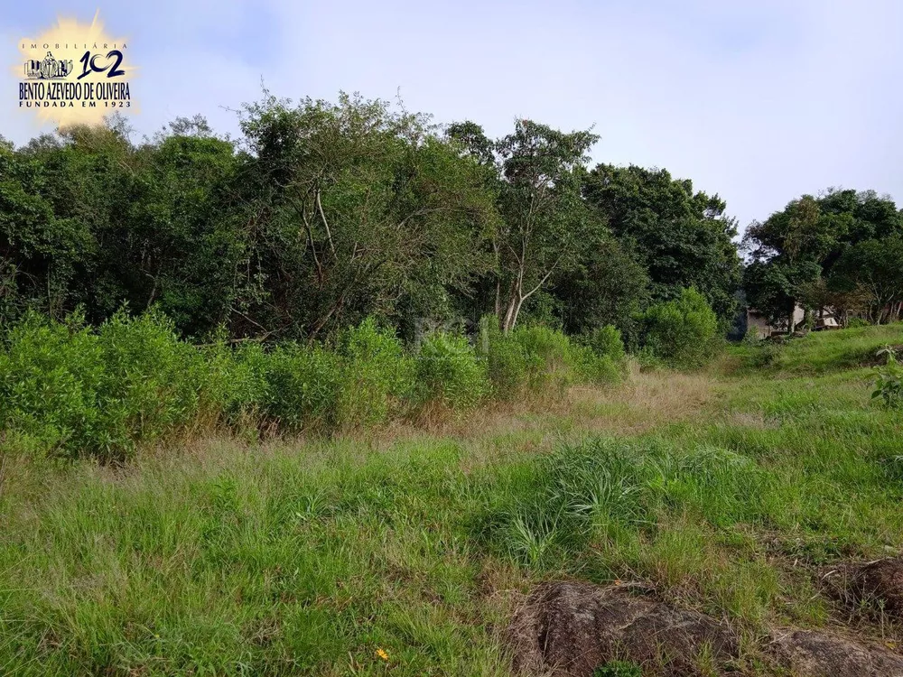 Terreno, 4950 m² - Foto 6